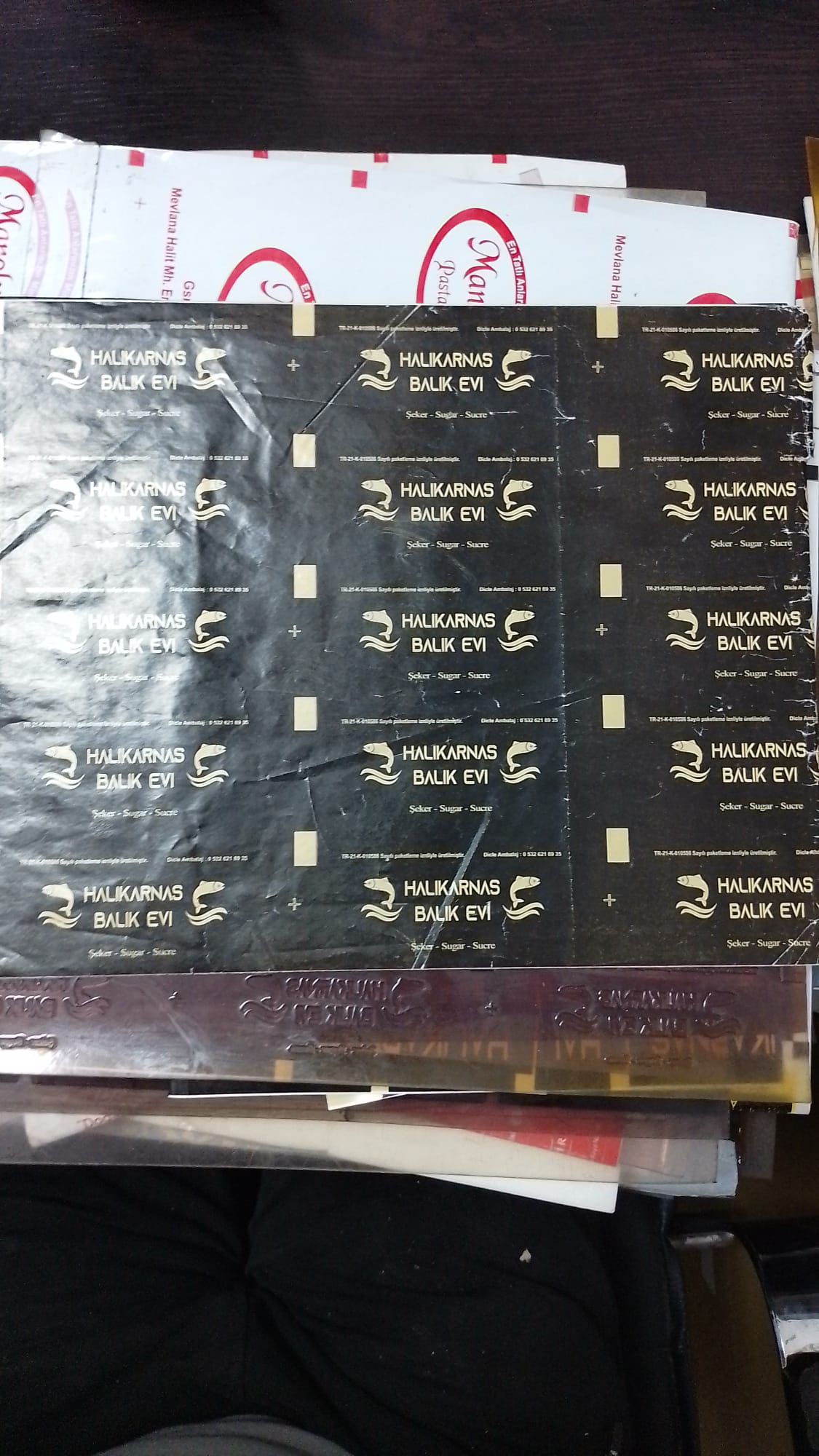 Halıkarnas Balık Evi